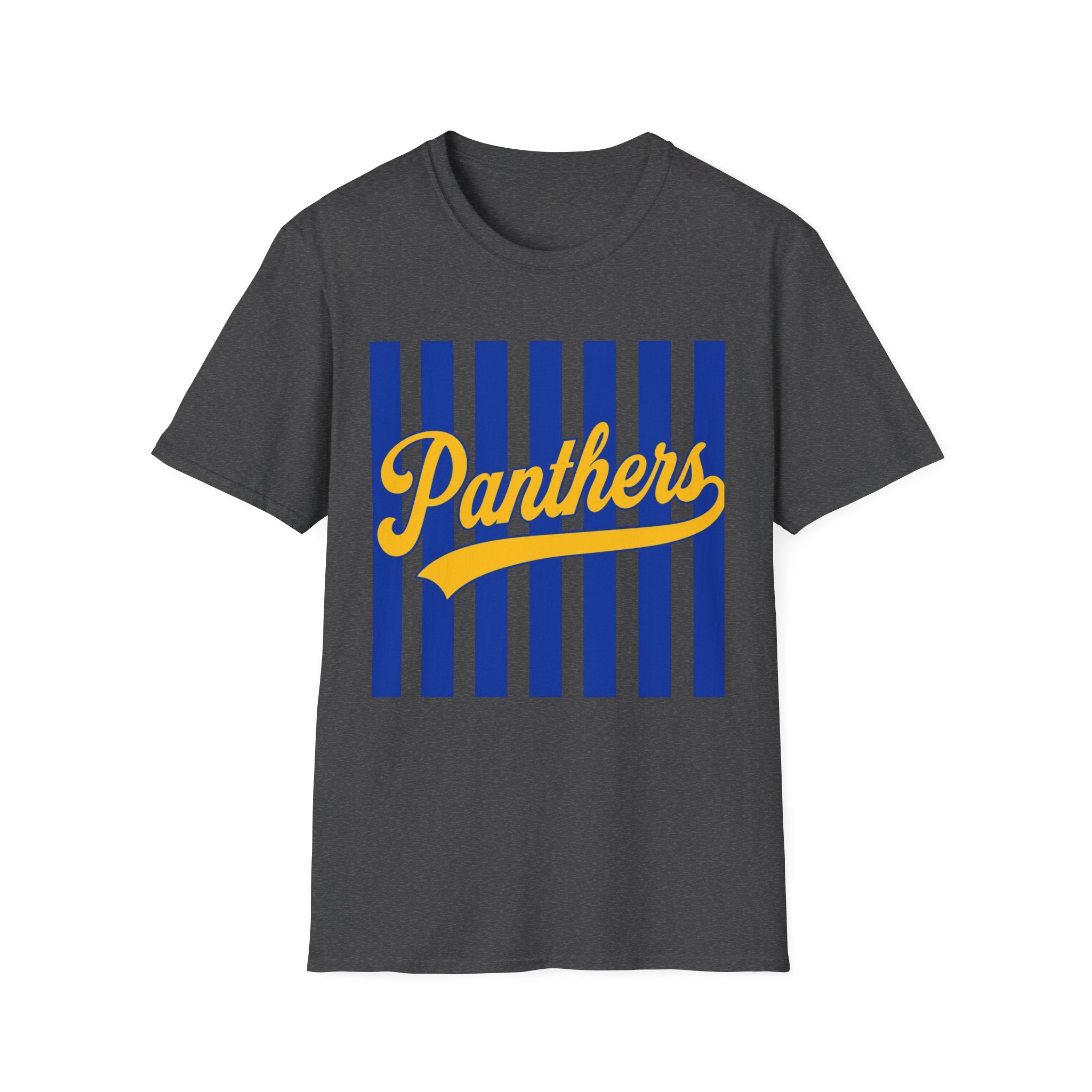 Panthers Stripped School Tee
