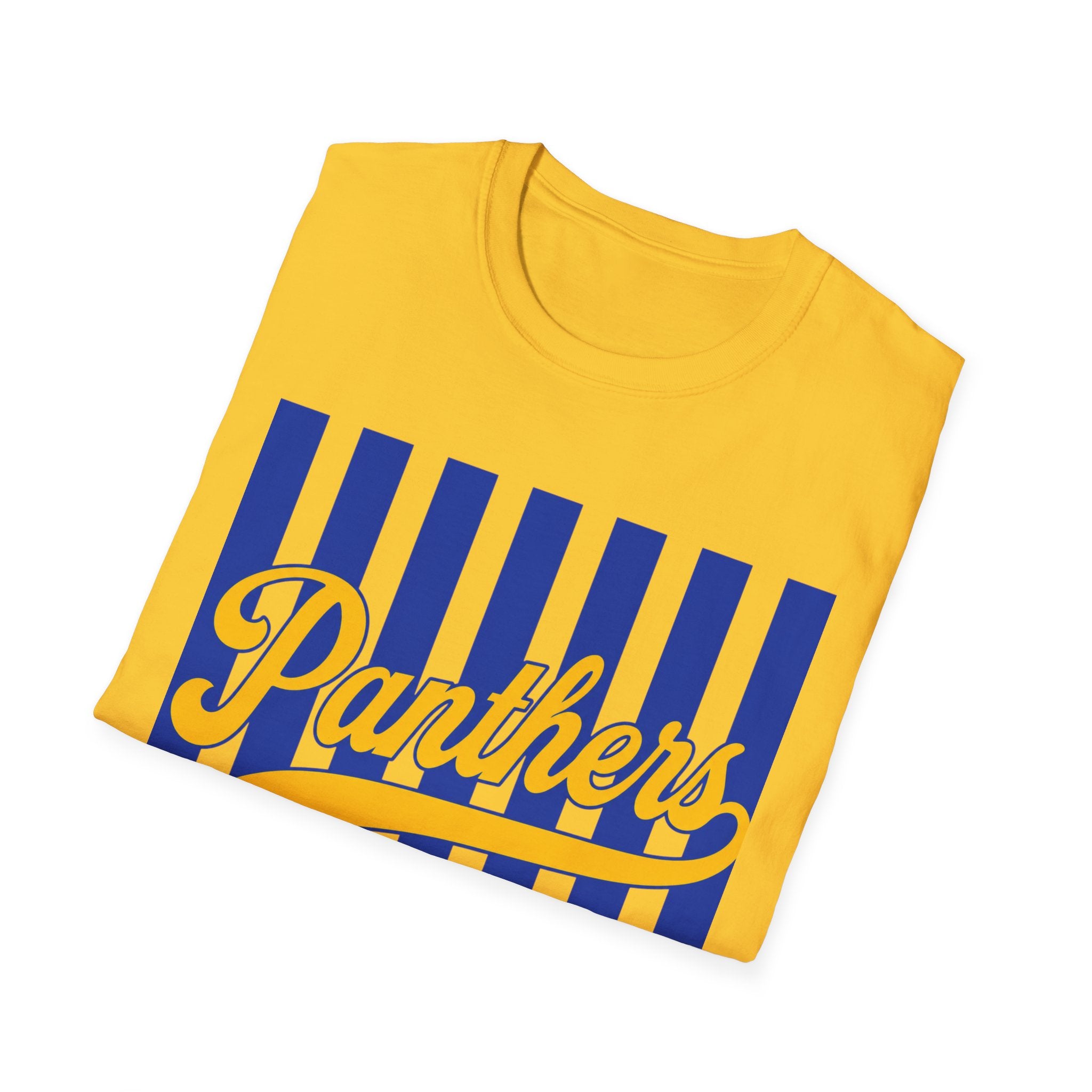 Panthers Stripped School Tee