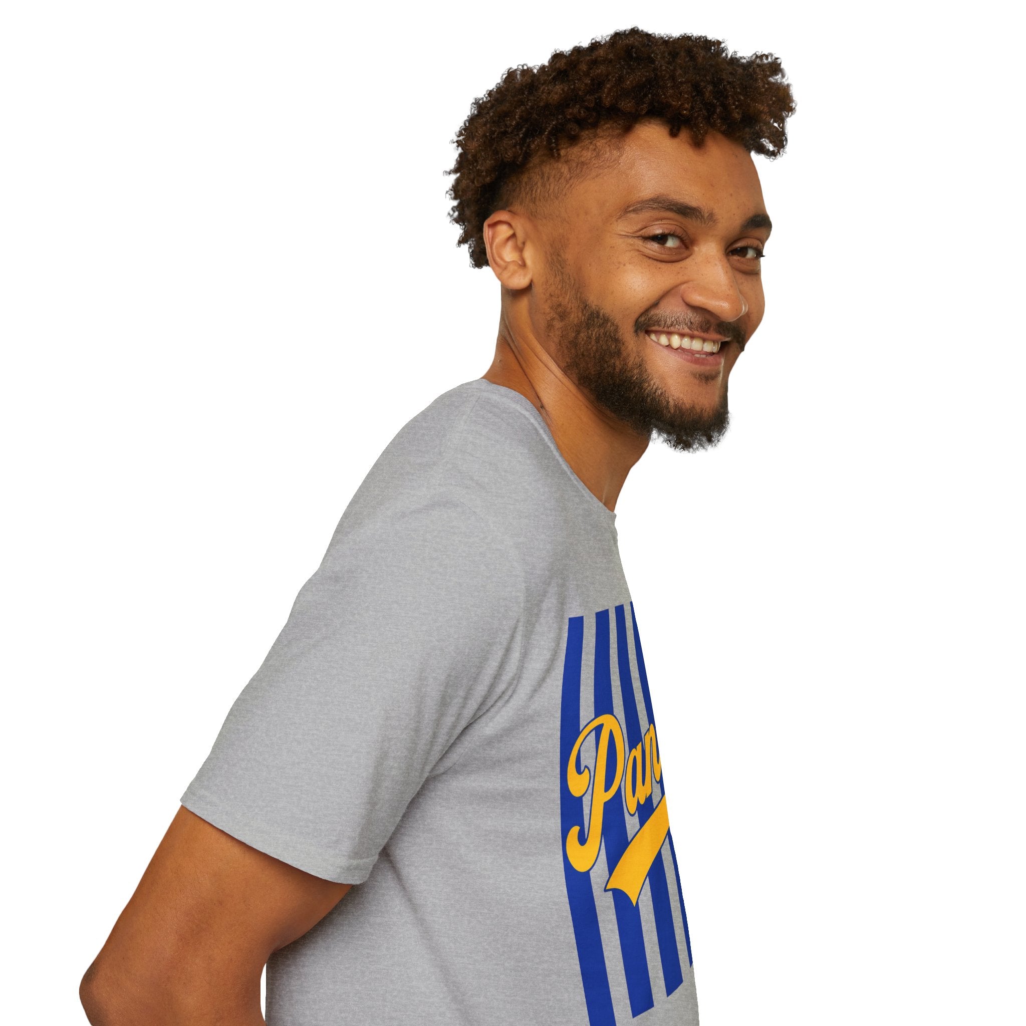 Panthers Stripped School Tee