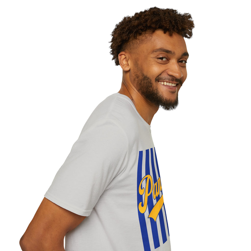 Panthers Stripped School Tee