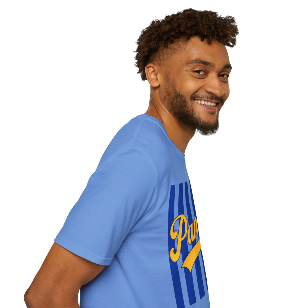 Panthers Stripped School Tee