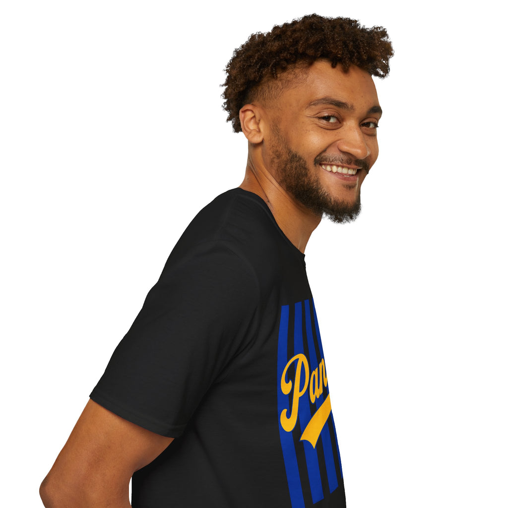 Panthers Stripped School Tee