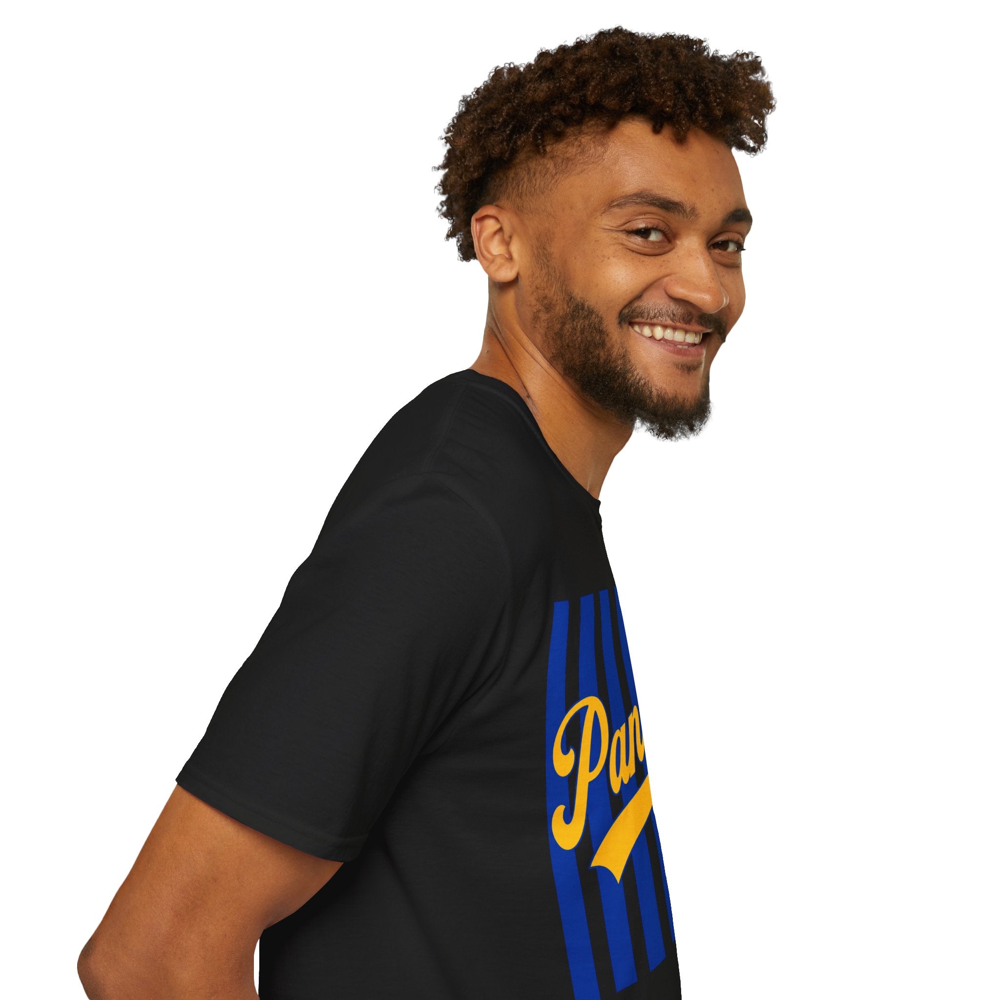 Panthers Stripped School Tee
