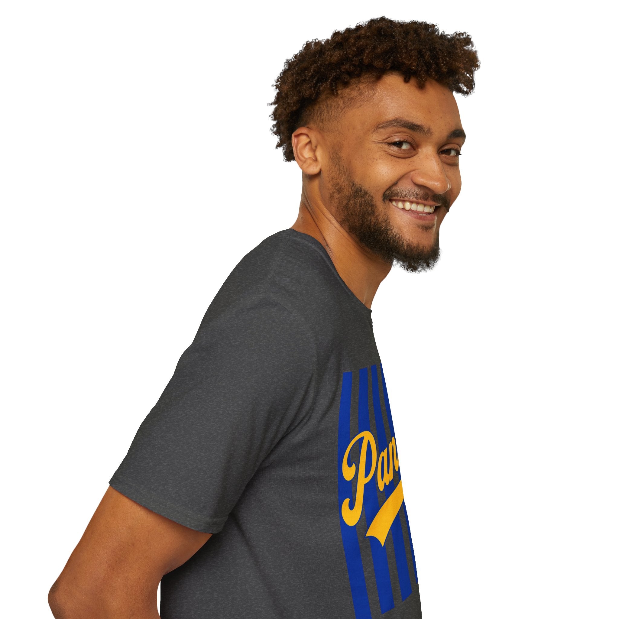 Panthers Stripped School Tee