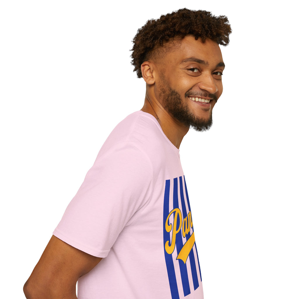 Panthers Stripped School Tee
