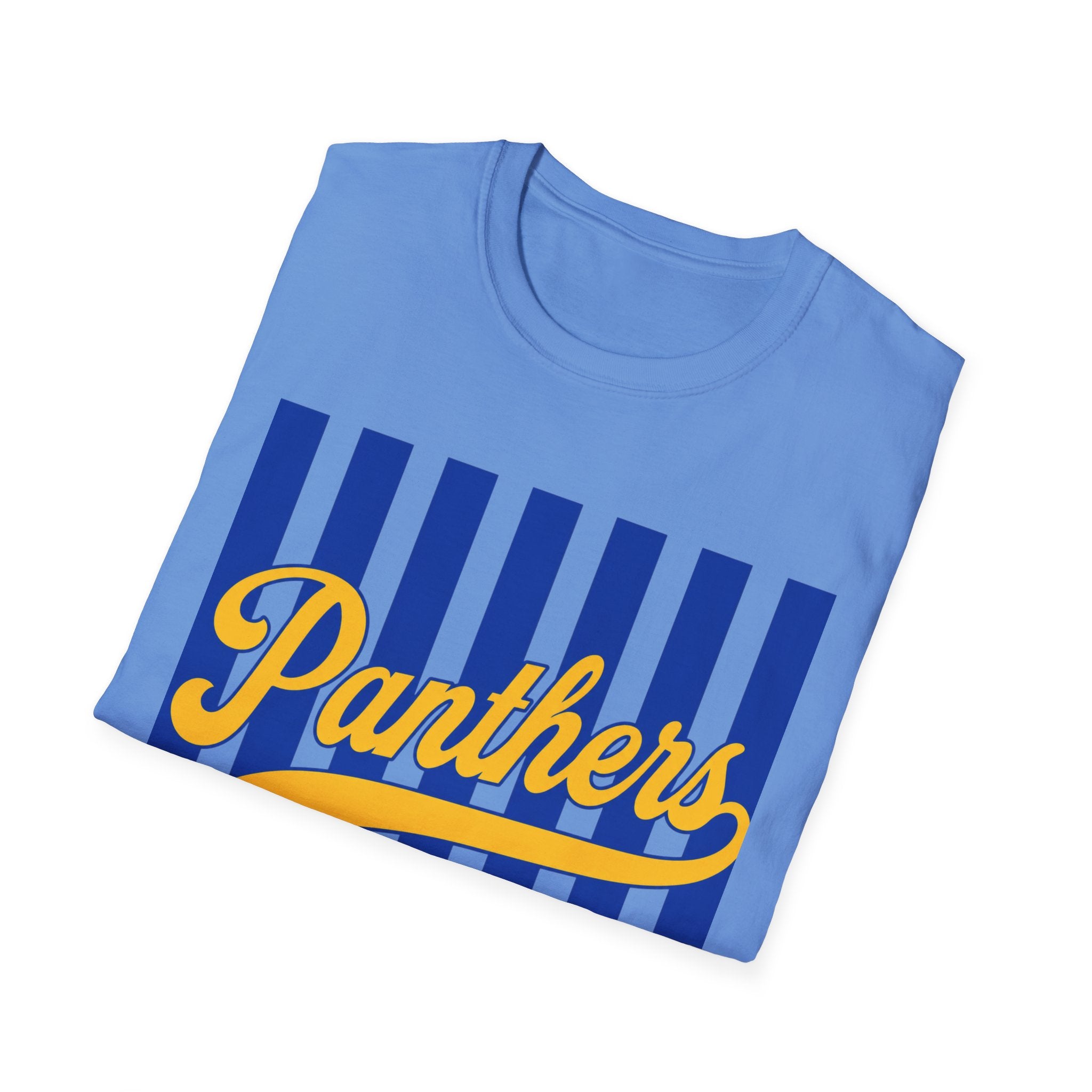 Panthers Stripped School Tee