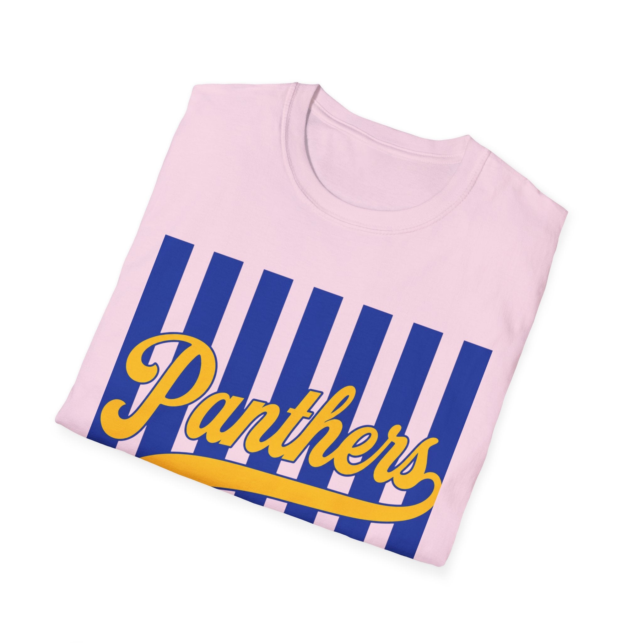 Panthers Stripped School Tee