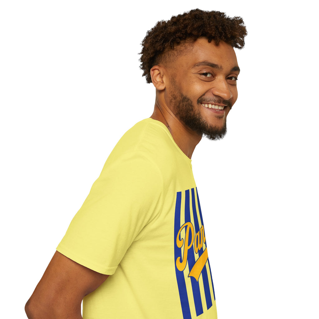 Panthers Stripped School Tee