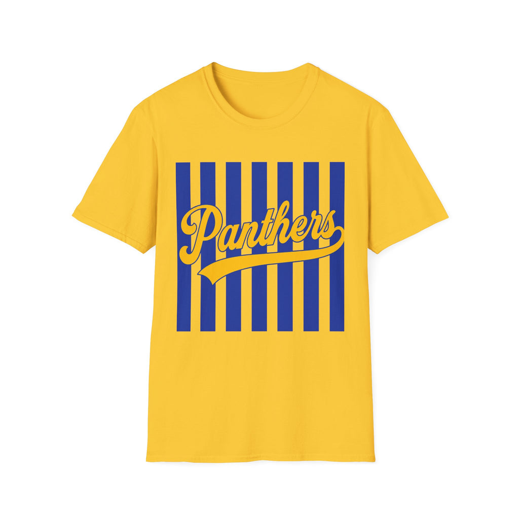 Panthers Stripped School Tee