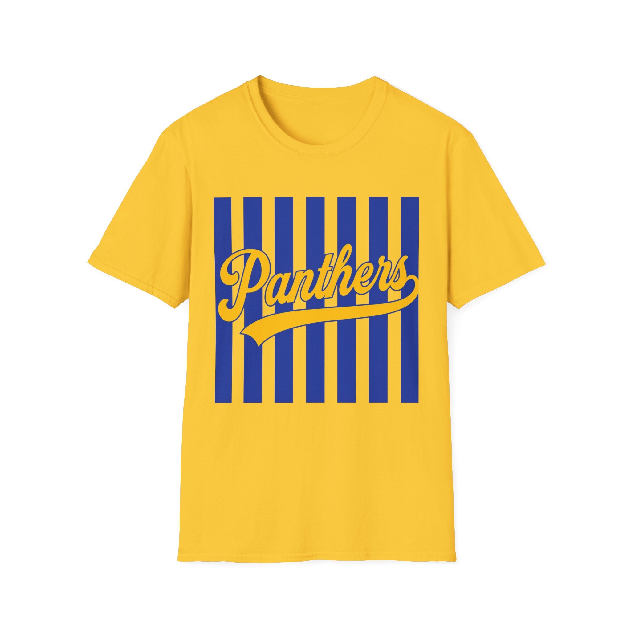 Panthers Stripped School Tee