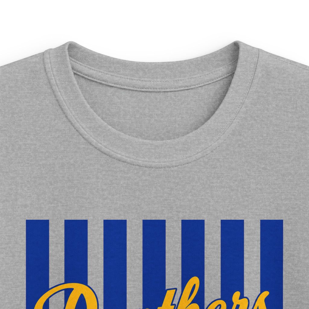 Youth- Panthers Stripped Tee