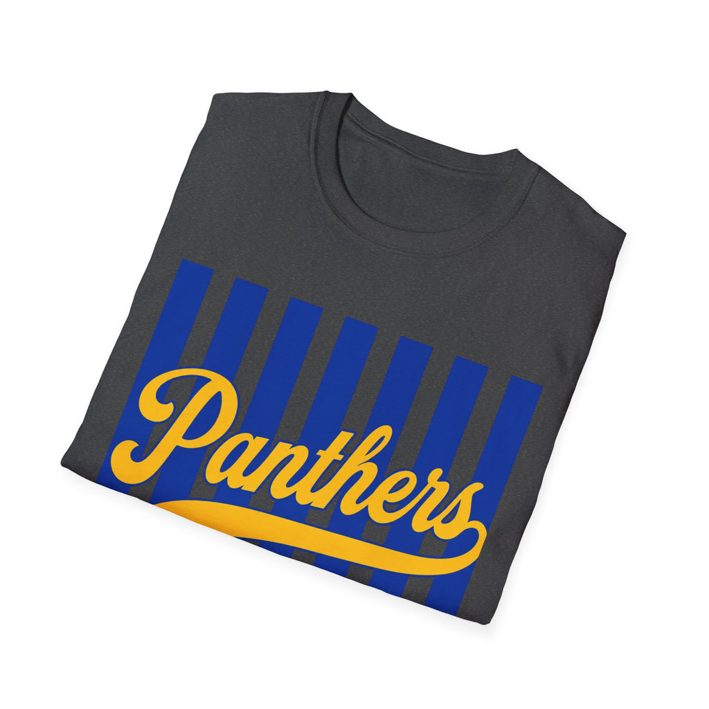 Panthers Stripped School Tee
