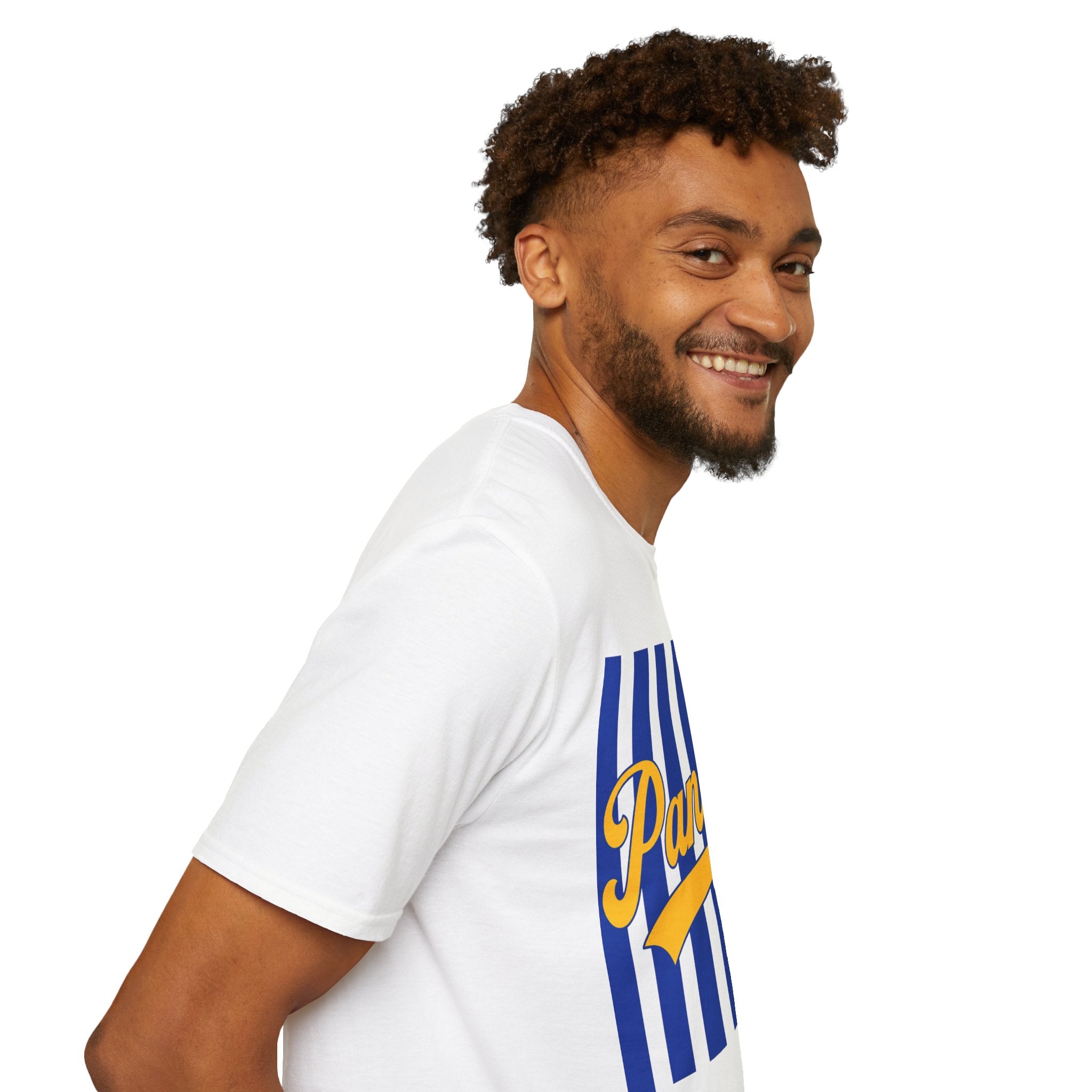 Panthers Stripped School Tee