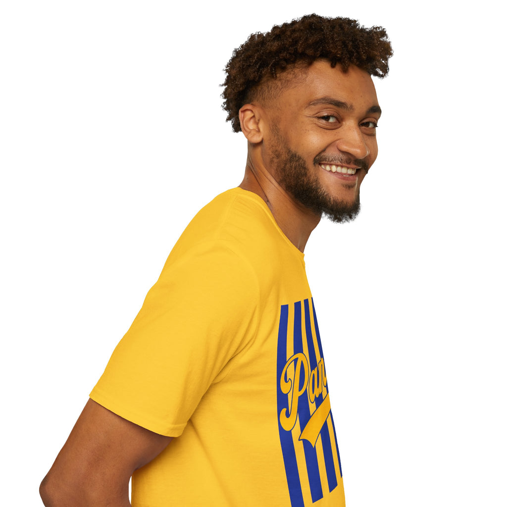 Panthers Stripped School Tee
