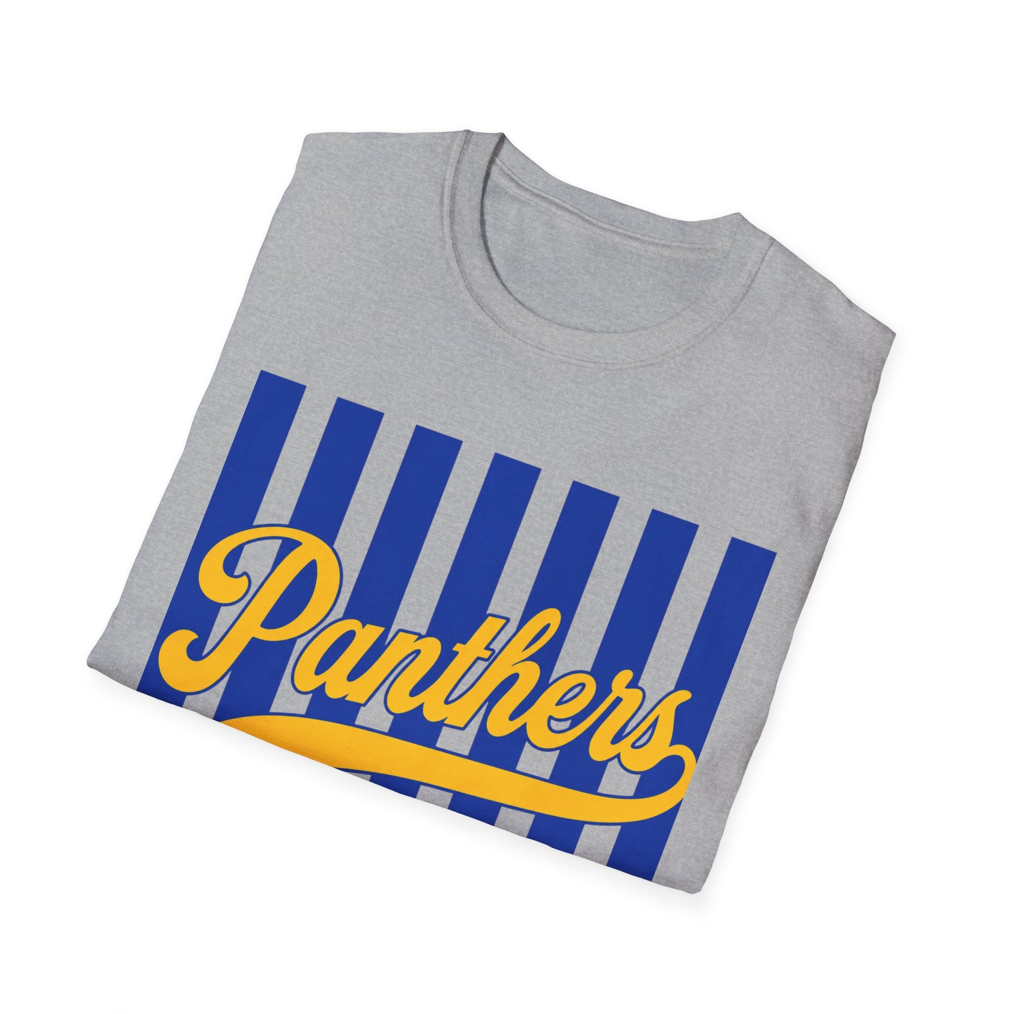 Panthers Stripped School Tee