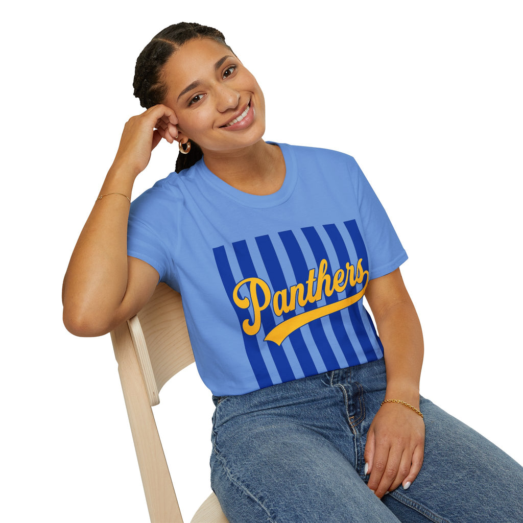 Panthers Stripped School Tee
