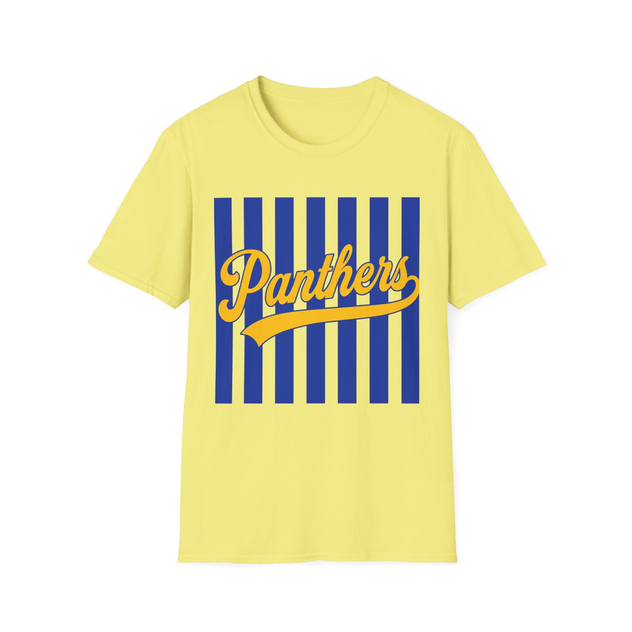 Panthers Stripped School Tee