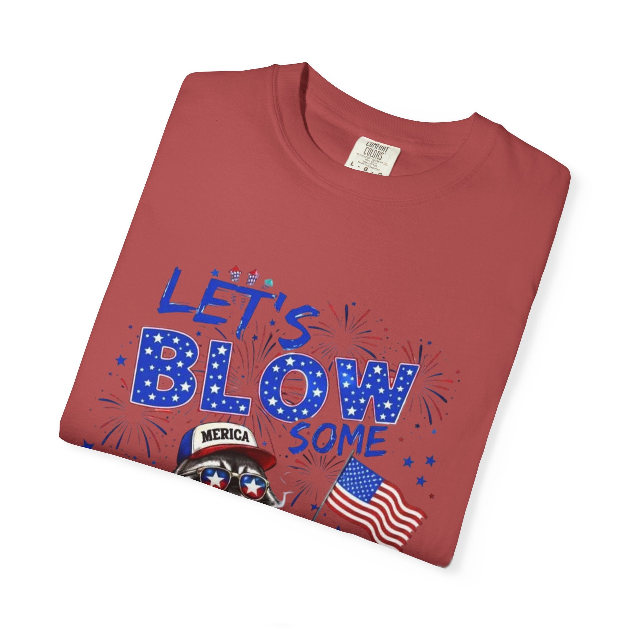 Patriotic Raccoon- Graphic T-Shirt