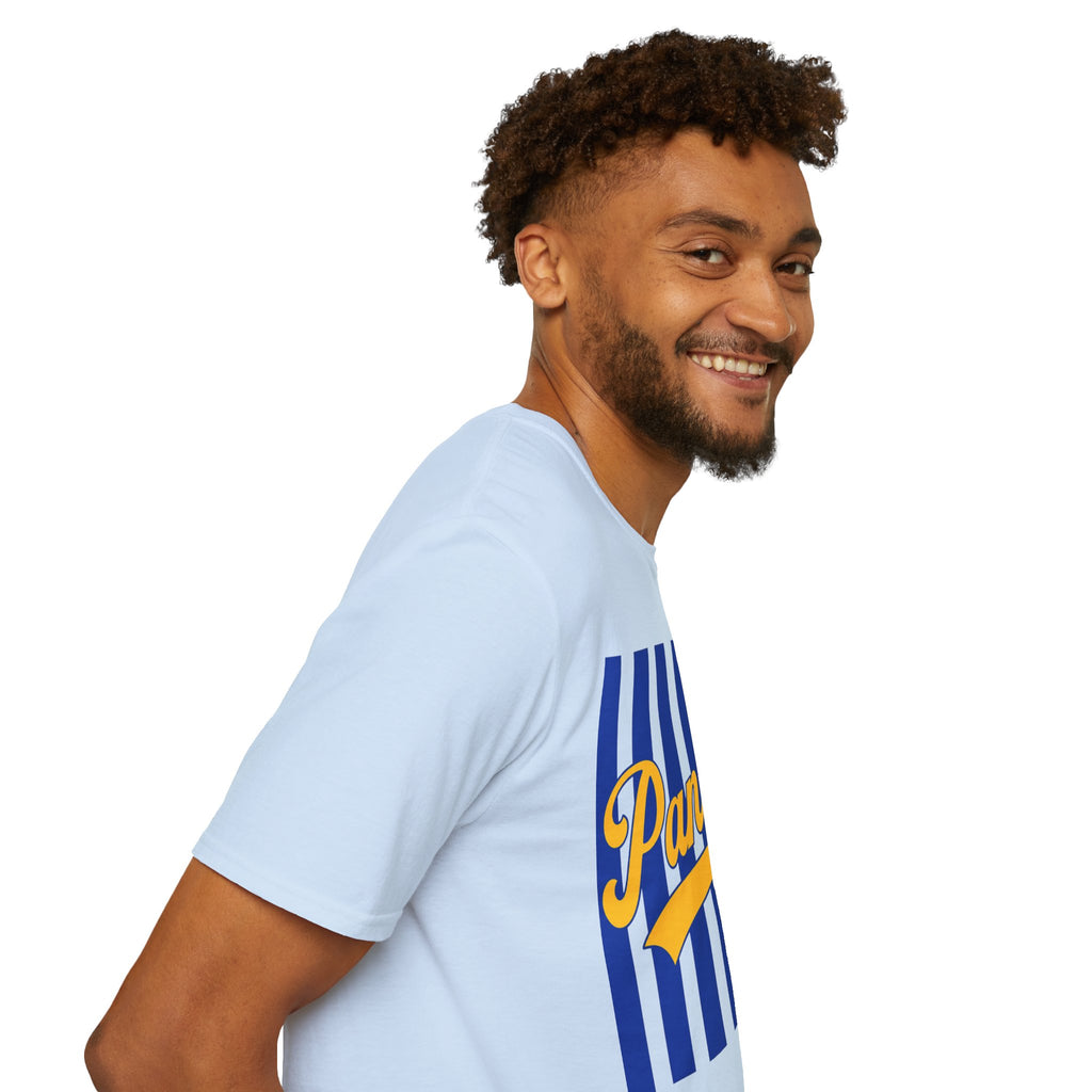 Panthers Stripped School Tee
