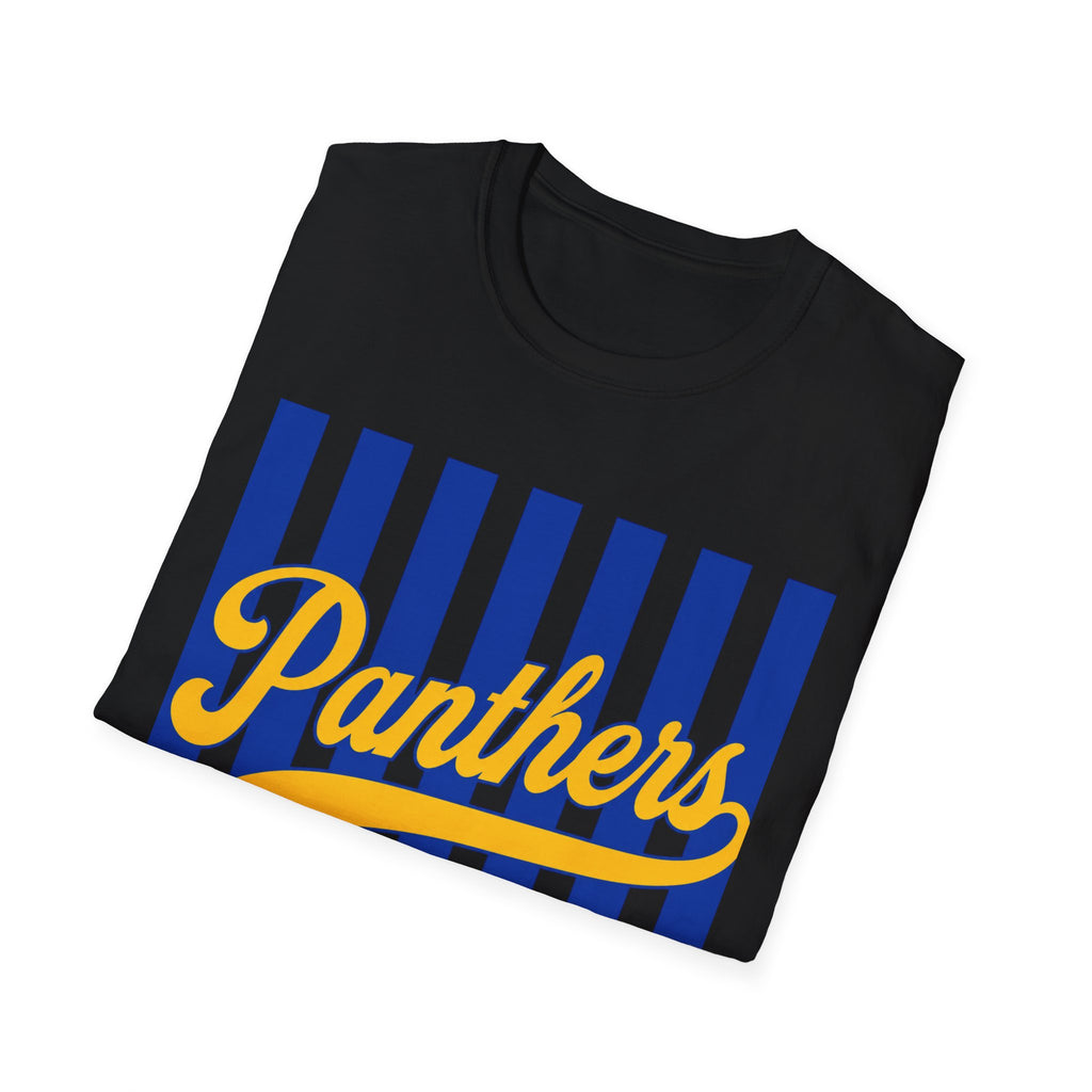 Panthers Stripped School Tee