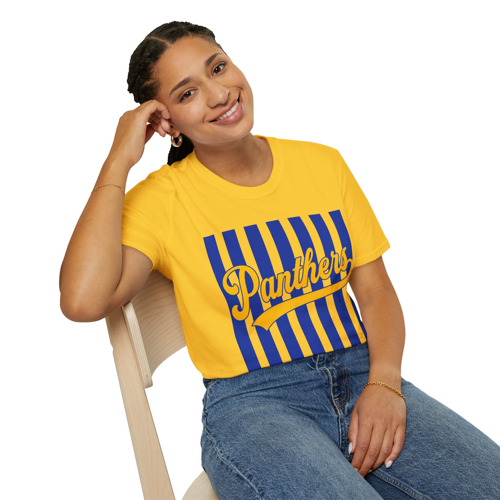 Panthers Stripped School Tee